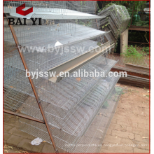 Quail Laying Cage Design and Water System